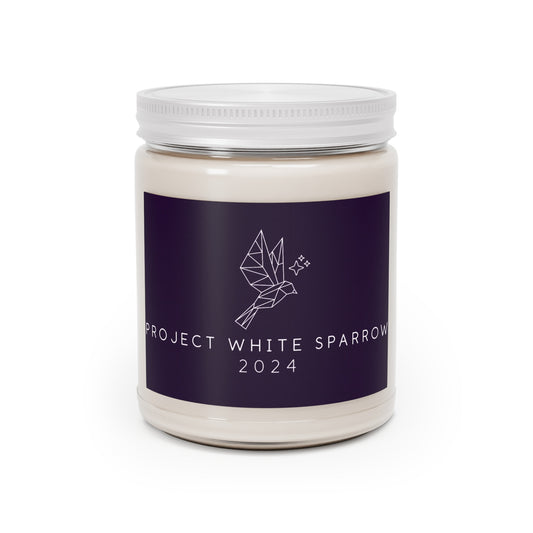 Scented Candles, 9oz